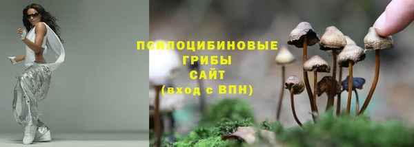 mdpv Нея