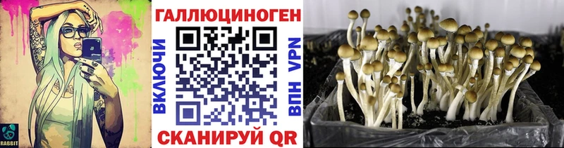 блэк спрут как зайти  Рославль  Галлюциногенные грибы ЛСД 