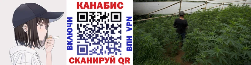 купить  цена  hydra ссылка  Конопля Amnesia  Рославль 